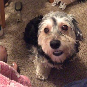 Meet your Posher, Meghan